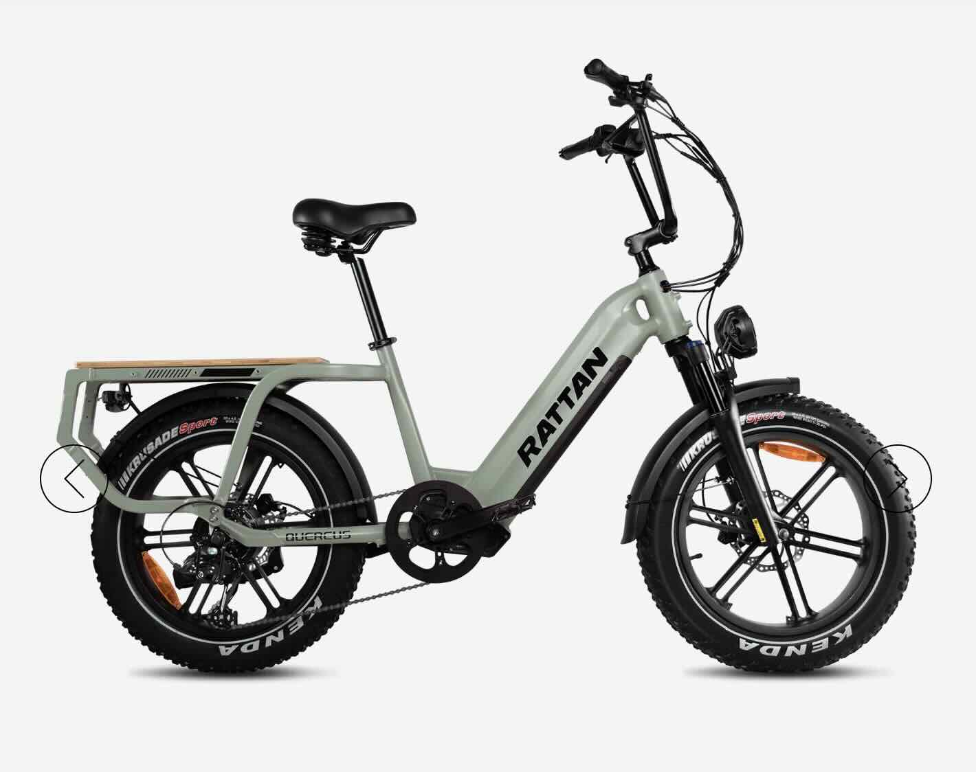 Rattan Cargo Quercus eBike image 1