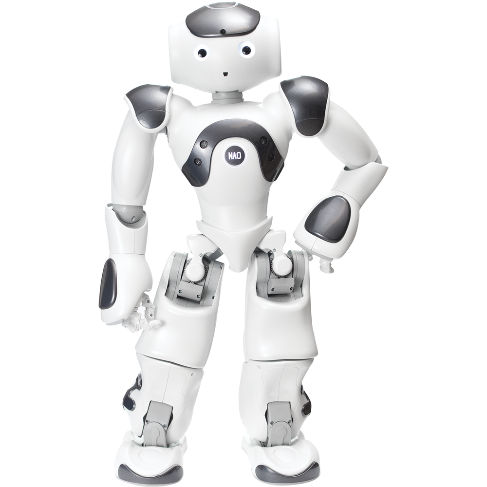 SoftBank Robotics NAO V6 Standard Edition image 1