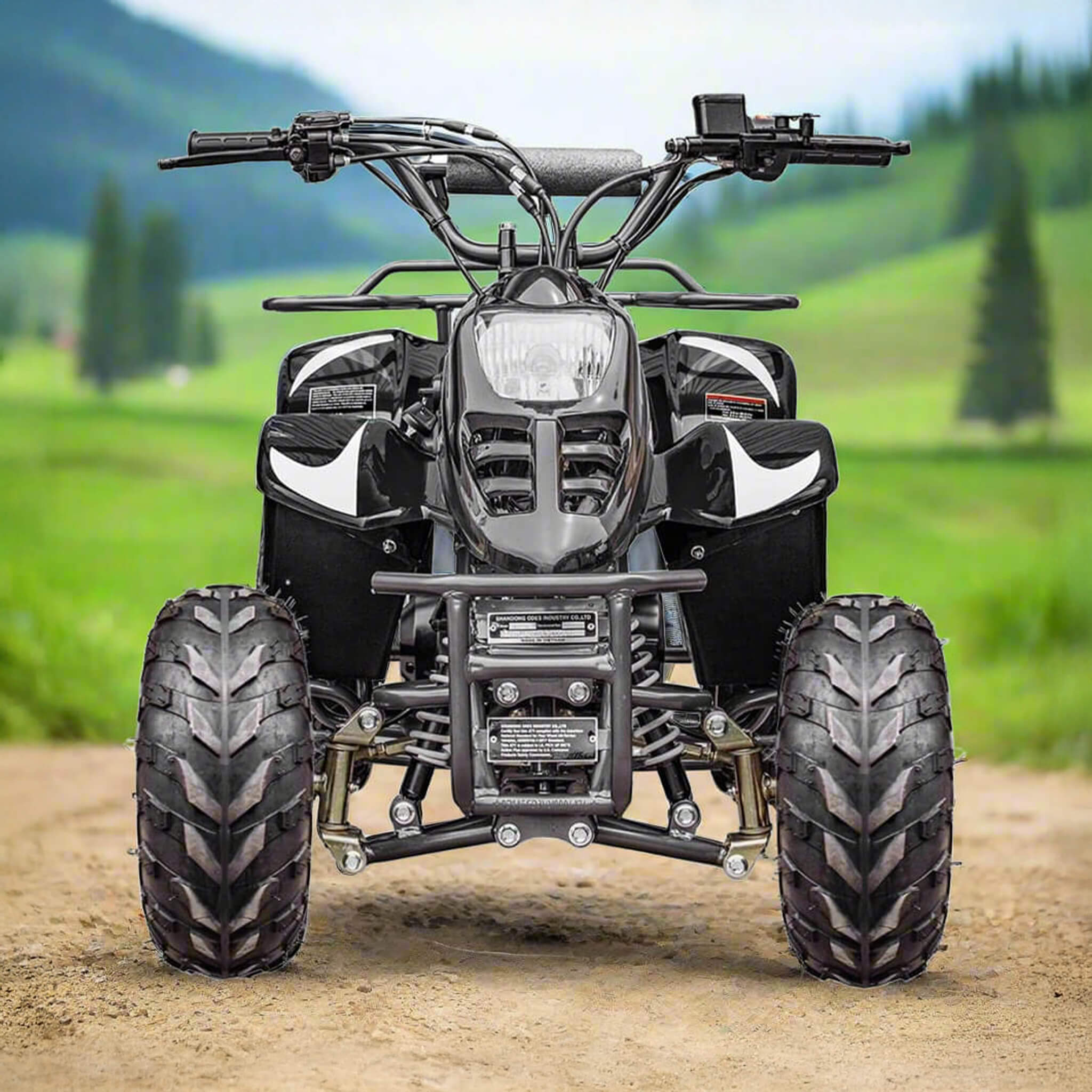 MotoTec Rex 110CC 4-Stroke Mini Kids 4 Wheeler Gas ATV Quad, Black (95316842) image 1