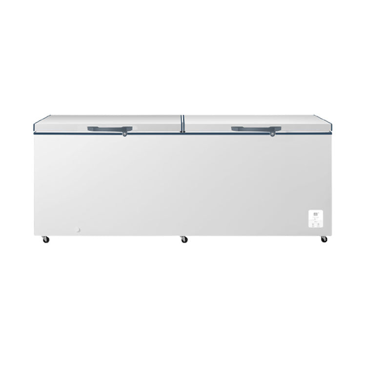 25 Cu.Ft. Two Doors Chest Freezer  -HISENSE (FC25D6BWXE) image 1