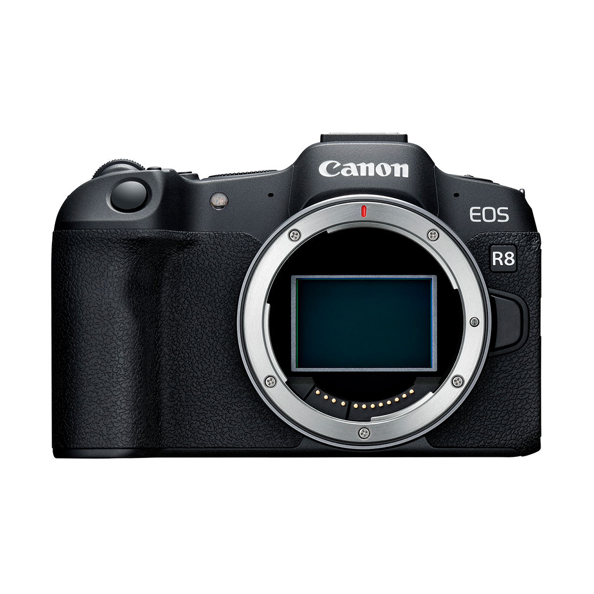 Canon EOS R8 Mirrorless Camera Body image 1