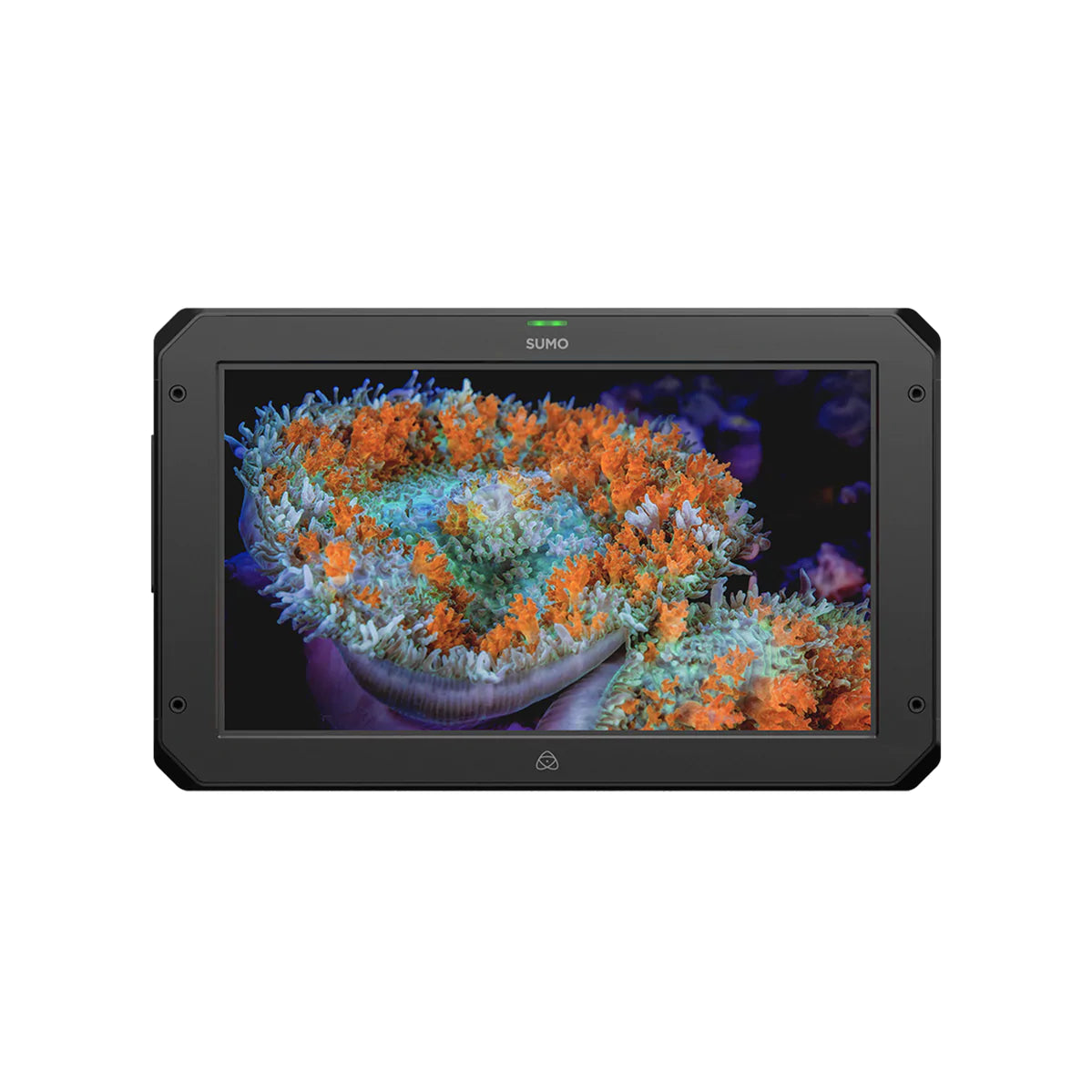 Atomos Sumo 19” Monitor / Recorder image 1