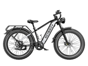 Heybike Brawn Electric Bike
