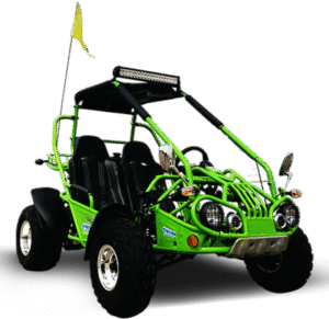 TrailMaster 200 XRX Deluxe Buggy Go Kart, Alloy Wheels, Lights, Turn Signals