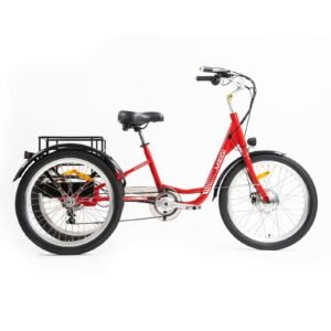 DWMEIGI Hera MG708 36V/13Ah 350W Step-Thru Electric Trike