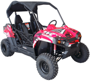 TrailMaster Challenger 200 UTV Go Kart, (Special) for Youth & Adult