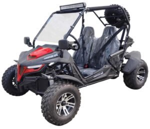 TrailMaster Cheetah 200X Go Kart (Special) CVT Automatic with Reverse, Alloy Wheels, Windshield