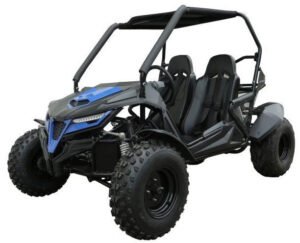 TrailMaster Cheetah 200 Full Size Buggy Go Kart, CVT Automatic with Reverse