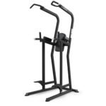 True FS-23 Knee Raise/Dip/Chin Station