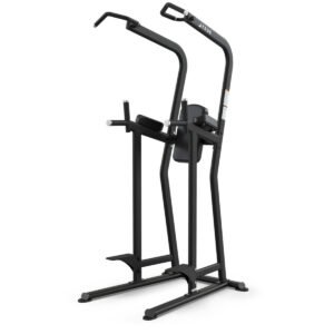 True FS-23 Knee Raise/Dip/Chin Station
