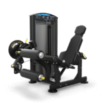 True Fitness Leg Extension/Leg Curl
