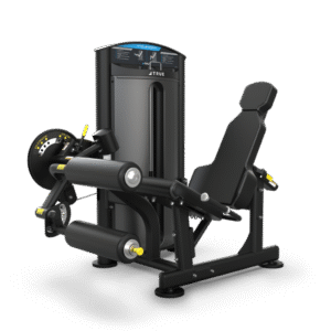 True Fitness Leg Extension/Leg Curl