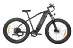 DYU King 750 48V/20Ah 750W Fat Tire Electric Bike