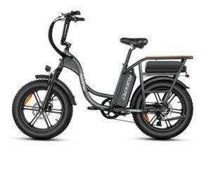 Mukkpet Breeze Dual-Battery Cargo eBike