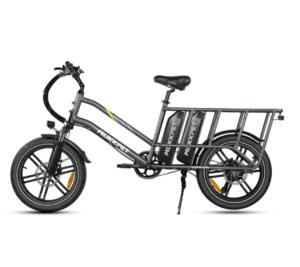 Mukkpet Stepwagon Dual-Battery Cargo E-Bike