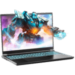 SAGER NP8866E (Clevo PE60SNE-G) Gaming Laptop