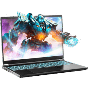 SAGER NP8866E (Clevo PE60SNE-G) Gaming Laptop