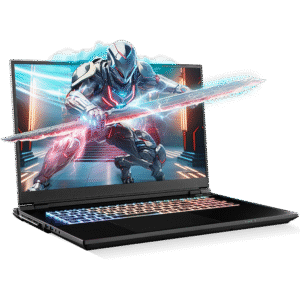 SAGER NP9373V (Clevo X370SNV1-G) Gaming Laptop