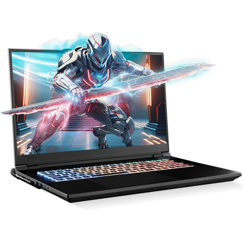 SAGER NP9373V (Clevo X370SNV1-G) Gaming Laptop