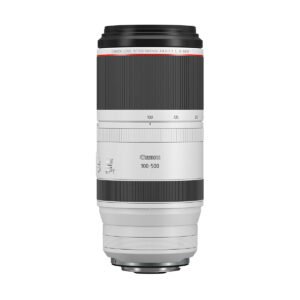 Canon RF 100-500mm F4.5-7.1 L IS USM Lens