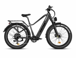 Rattan Pathfinder 750W Fat Tire e-bike