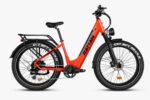 Rattan Pathfinder 750W Step Through ebike