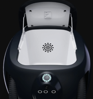 Piaggio Fast Forward - Gitamini
