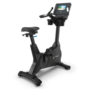 TRUE Performance Series Upright Bike