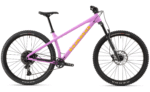 Open Box Haro Saguaro 2 - Hardcore Hardtail