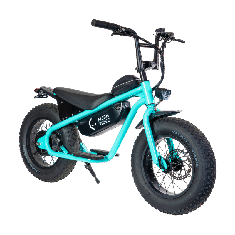 AR Atom 1000 Watt Mini Electric Bicycle