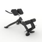 Spirit CSF Back Extension