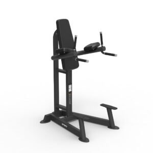 Spirit CSF Vertical Leg Raise/Dip