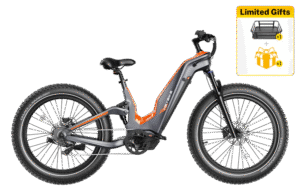 Heybike Hero with 1000W hub motor