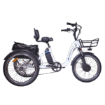 DWMEIGI Blazer MG2303 48V/16Ah 750W Electric Trike