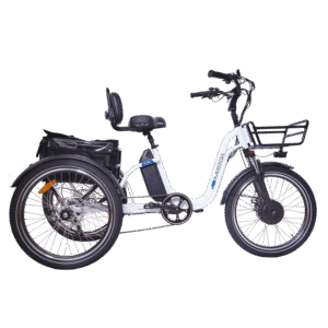 DWMEIGI Blazer MG2303 48V/16Ah 750W Electric Trike